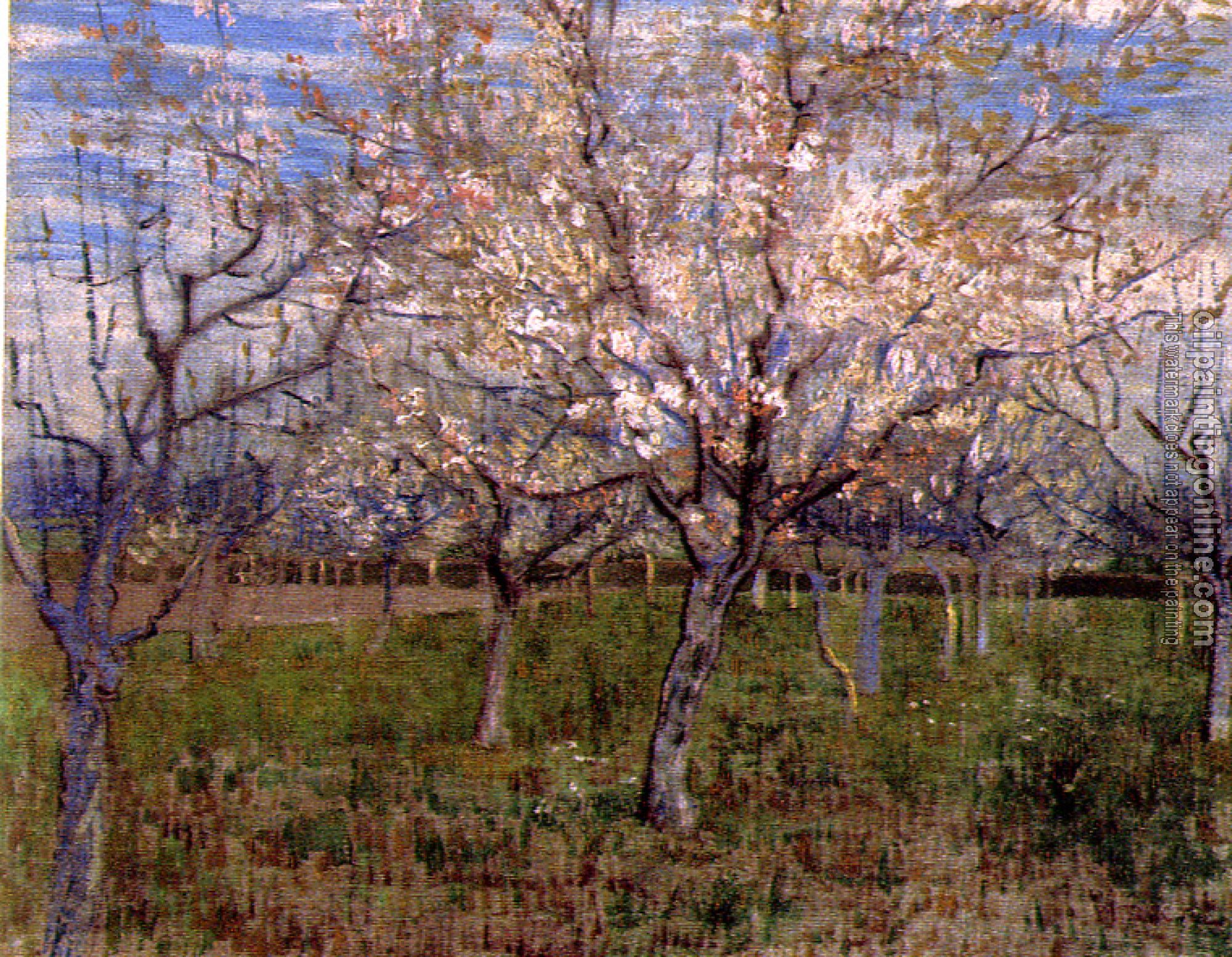 Gogh, Vincent van - Orchard with Blossoming Apricot Trees